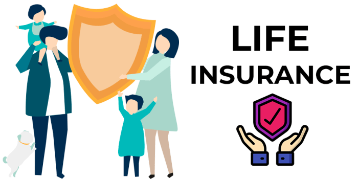 What Are the Different Types of Life Insurance? | Healthnews