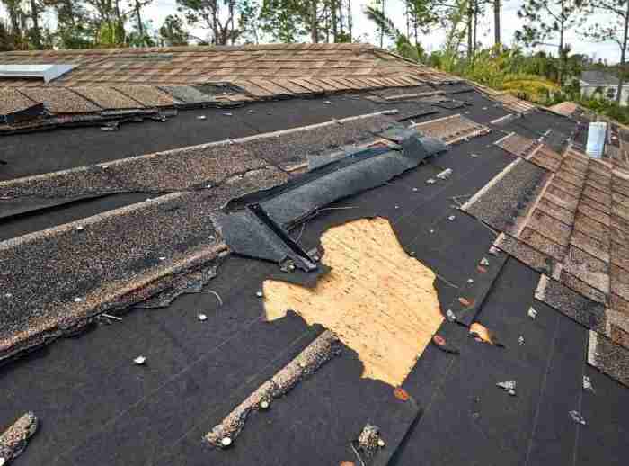 What Are The Most Common Signs Of Leaks On Your Roof? - Alpha Roofing