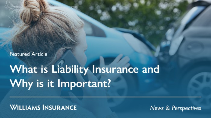 What is Liability Insurance and Why is it Important?